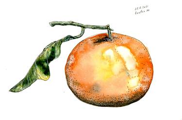 Original Illustration Food Paintings by Halyna Nechyporuk