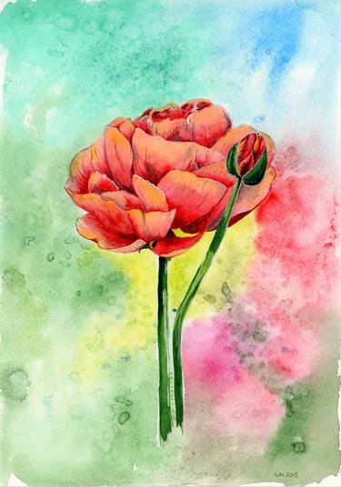 Original Illustration Botanic Paintings by Halyna Nechyporuk