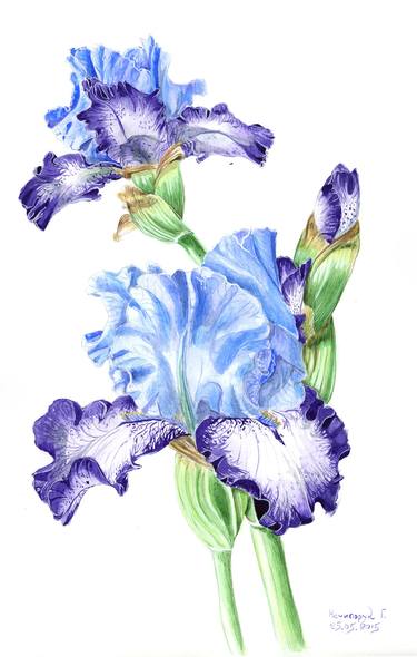 Original Art Deco Botanic Paintings by Halyna Nechyporuk