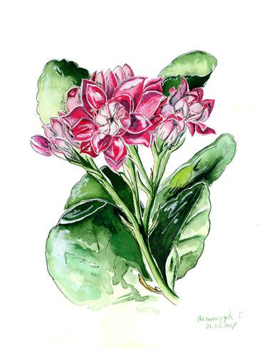 Print of Floral Paintings by Halyna Nechyporuk
