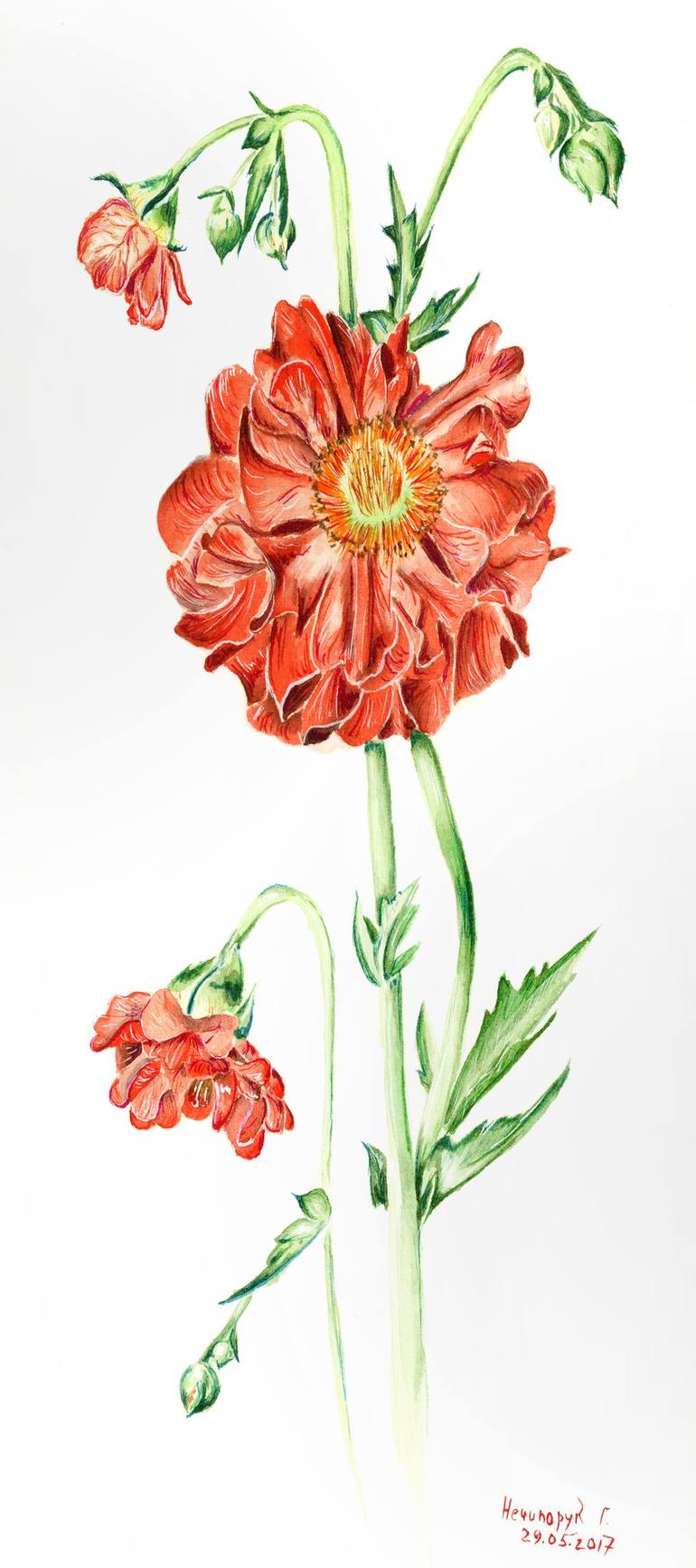 View in a Room Artwork