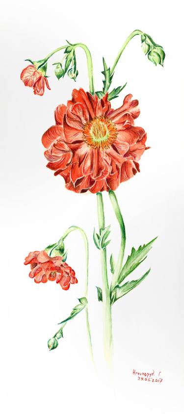 Original Botanic Paintings by Halyna Nechyporuk