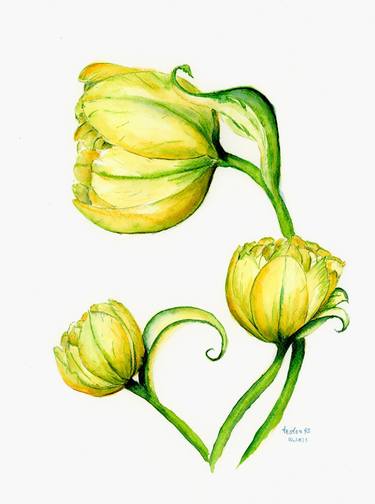 Original Fine Art Botanic Paintings by Halyna Nechyporuk