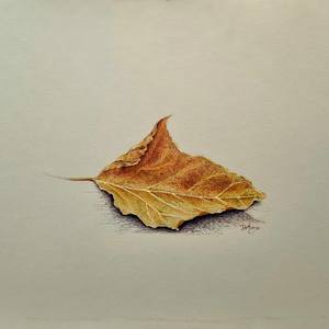 Fall