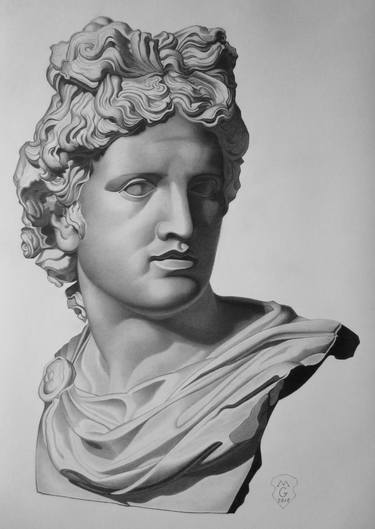 Apollo Bust Drawing image