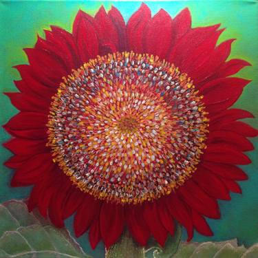 Fibonacci Sunflower, No. 4 thumb