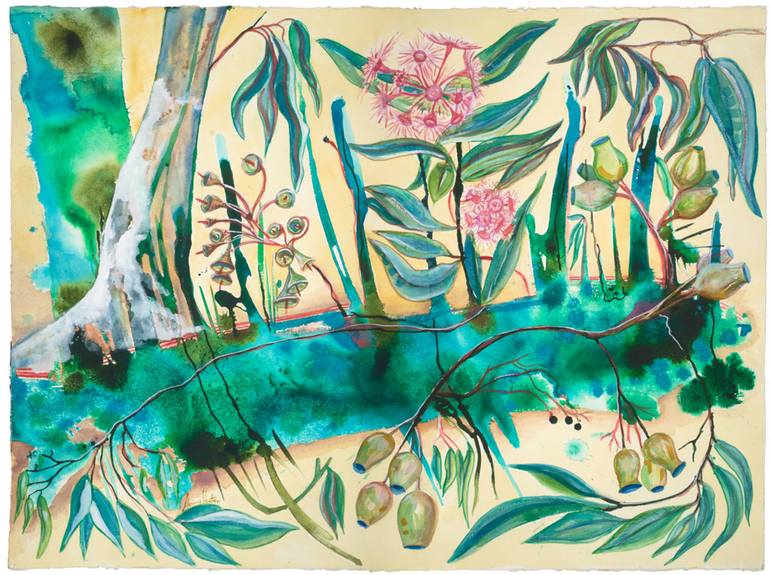 Eucalyptus Gumnut flowers Painting by Amy Hooton Saatchi Art