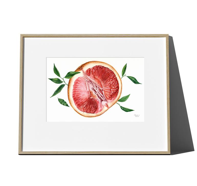 Original Realism Botanic Drawing by Halina Khazani