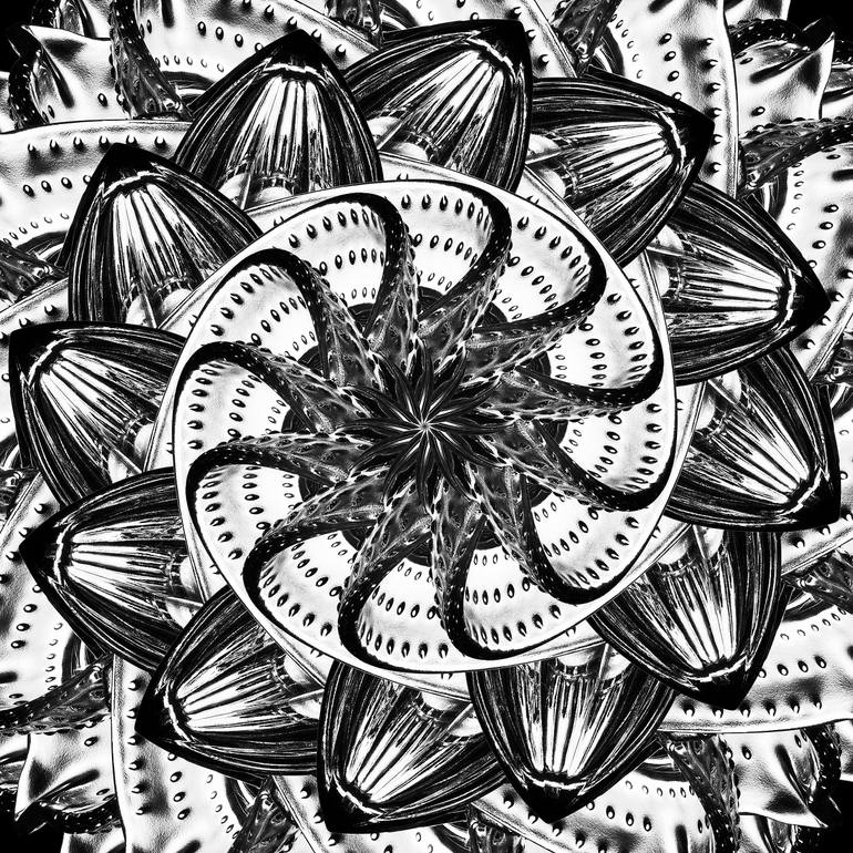 Original Conceptual Abstract Photography by Richard Mountney