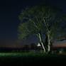 Collection SOMERSET LEVELS / NIGHT