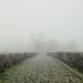 Collection SOMERSET LEVELS / DROVES