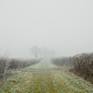 Collection SOMERSET LEVELS / DROVES