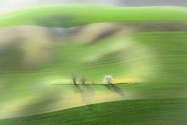 Original Landscape Photography by Daniel Franc