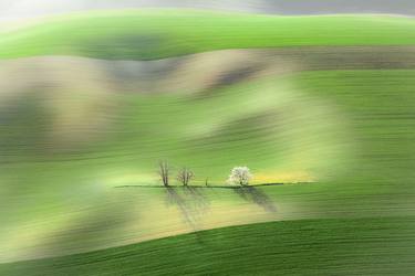 Original Abstract Landscape Photography by Daniel Franc