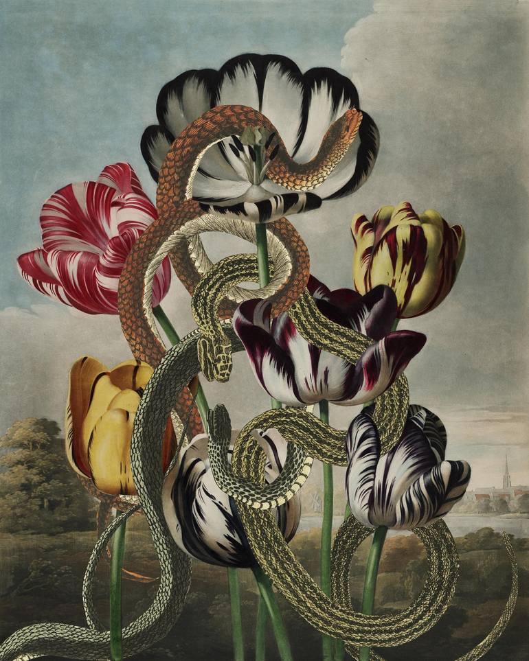 Three Serpents Collage by Jake Fifer Saatchi Art