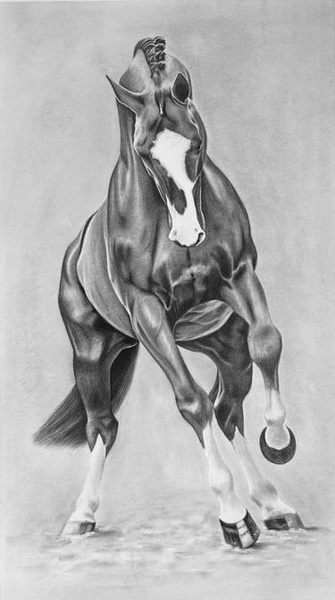 Original Photorealism Animal Drawings by Daphne Sulkers