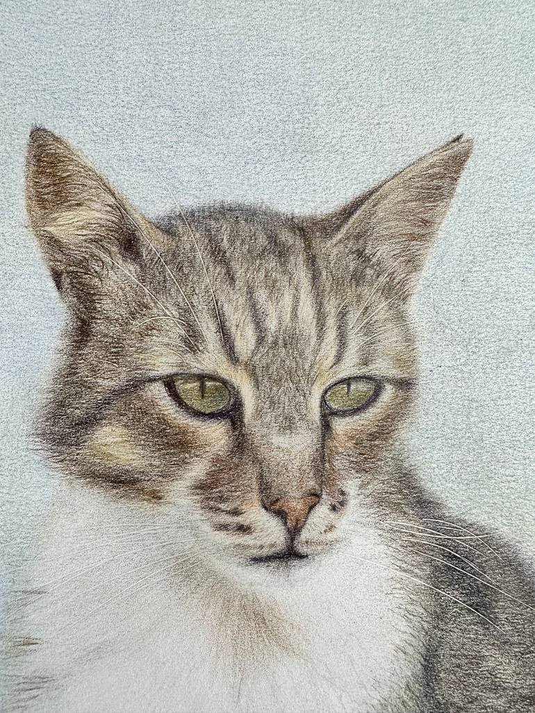 Original Portraiture Animal Drawing by Azar Hassani