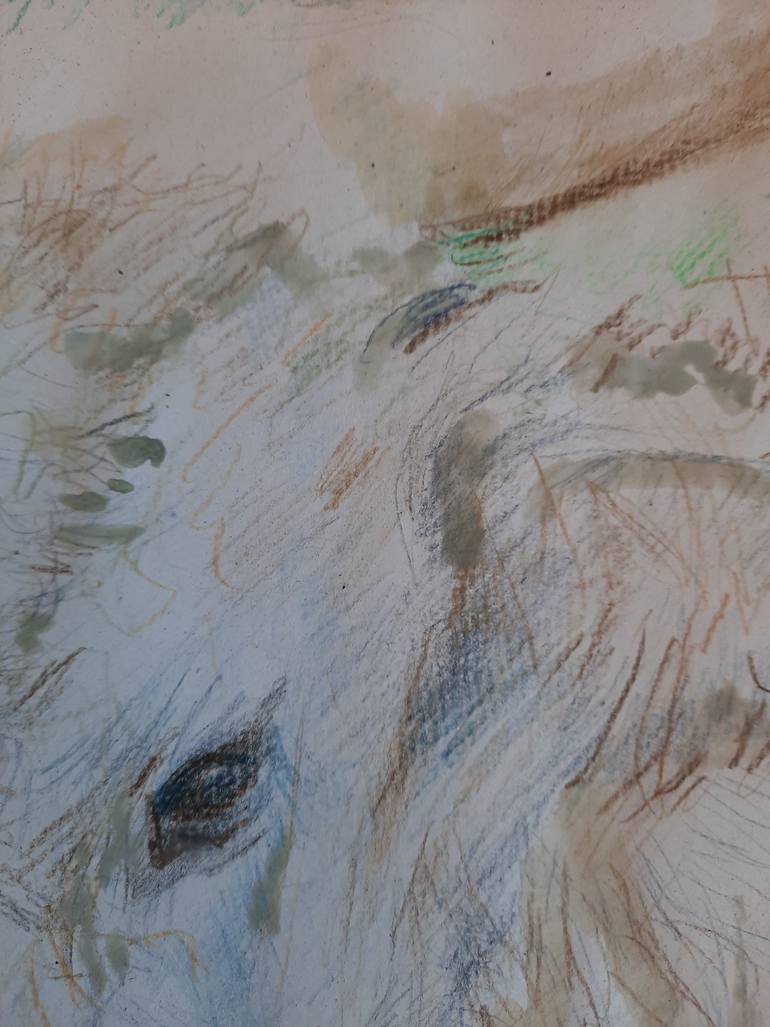 Original Realism Animal Drawing by Jenő Dienes