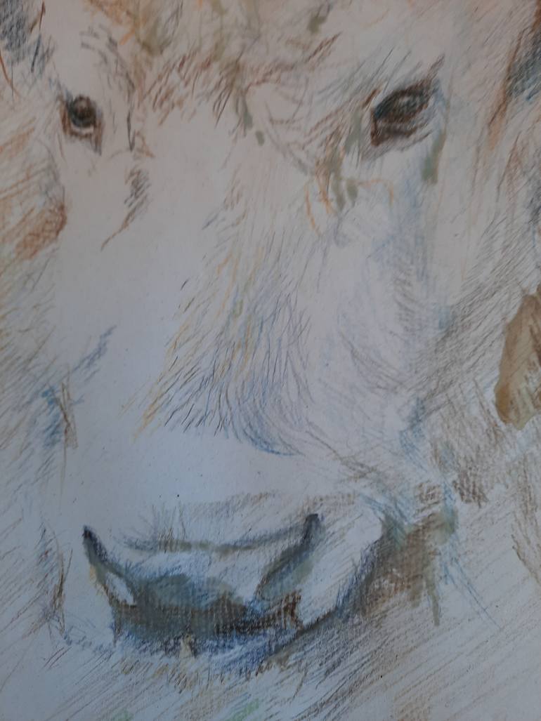 Original Realism Animal Drawing by Jenő Dienes