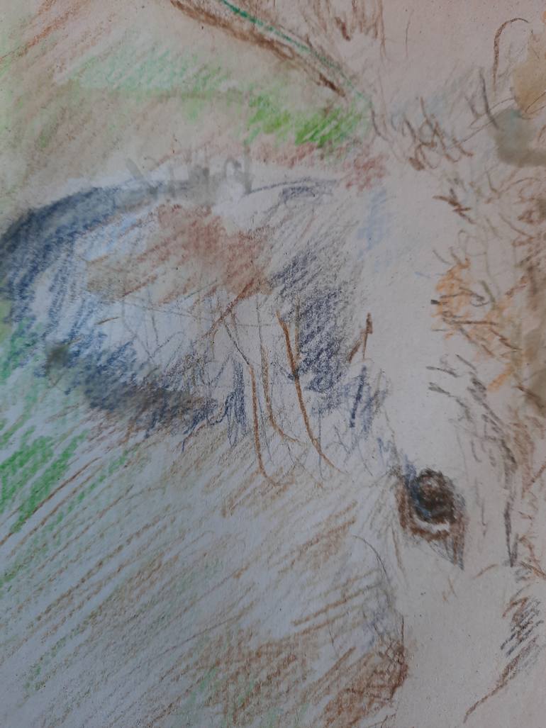 Original Realism Animal Drawing by Jenő Dienes