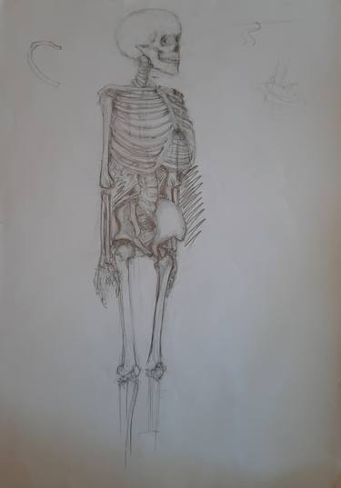 Original Realism Body Drawings by Jenő Dienes