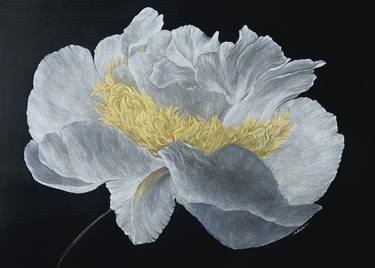 Original Fine Art Floral Drawings by Silvia Setrakian