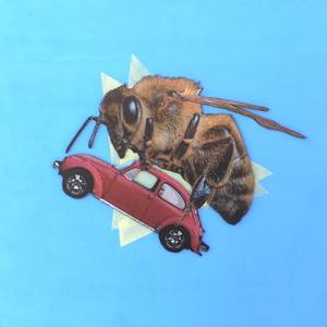 Vermin