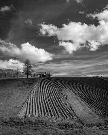 Fresh Till, near Sjenica, Serbia thumb