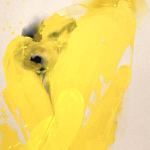 Yellow Split