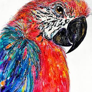 Feathered Mischief | Macaw Original Painting