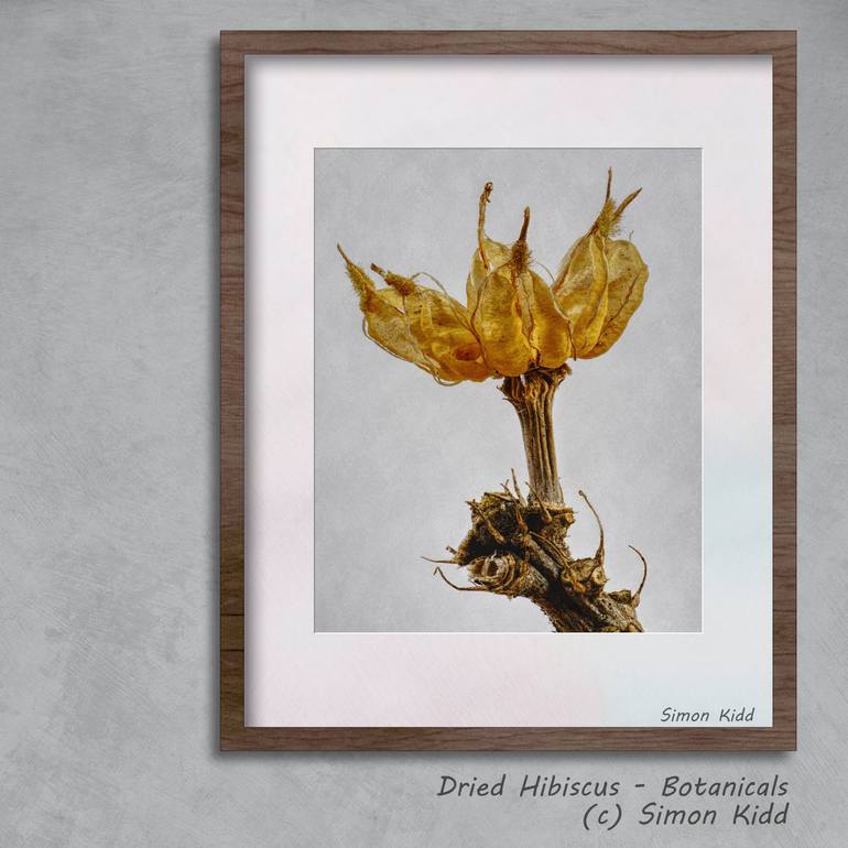 Original Surrealism Botanic Photography by Simon Kidd