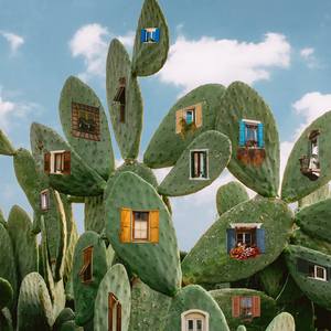 Desert Dwellings