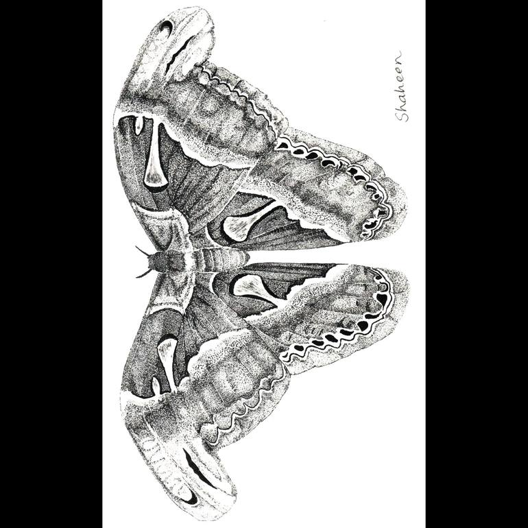 Original Illustration Animal Drawing by Shaheen Ghasia