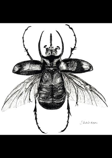 Atlas Beetle, Stippled with Sakura Micron Pens on Paper thumb