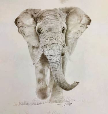 Print of Animal Drawings by Sathya Sharma