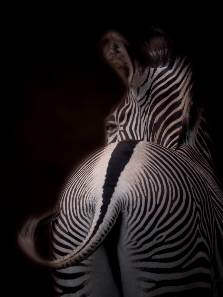 Original Contemporary Animal Photography by Deanna Deshea