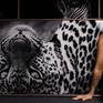 leopard fine art framed in chromaluxe