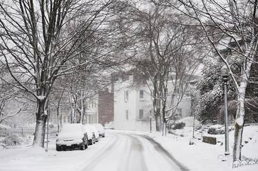 Print of Seasons Photography by Philip Stewart