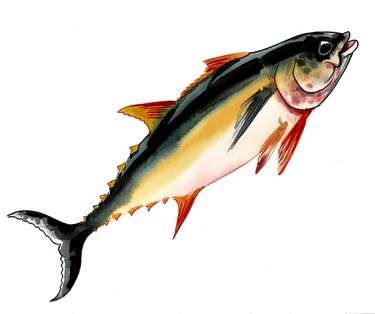 Watercolor tuna thumb