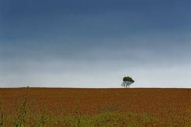 Print of Conceptual Landscape Photography by Hervé Ramboz