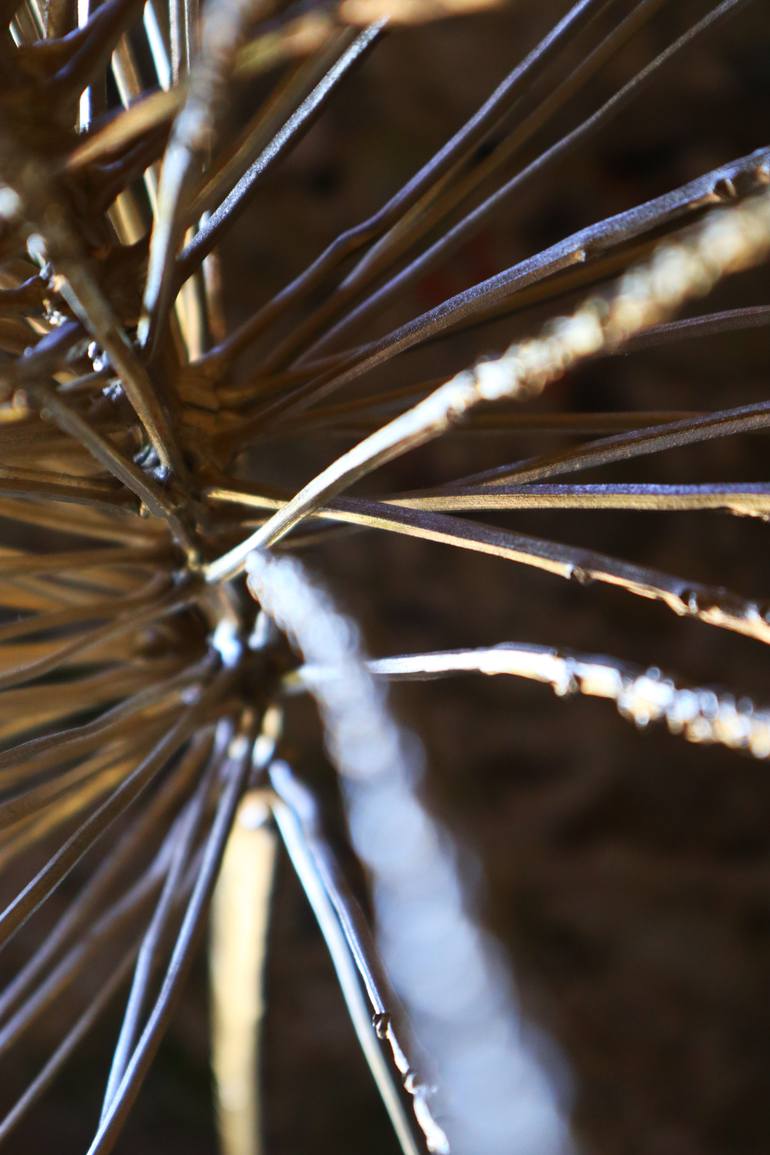 Original Contemporary Nature Sculpture by Marta Ornelas Monteiro