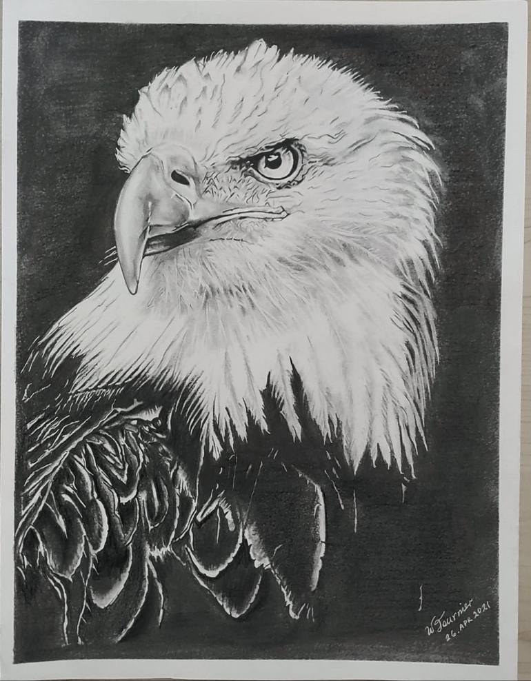 eagle drawings in pencil easy