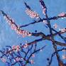 Collection cherry blossoms - encaustic paintings by Amanta Scott