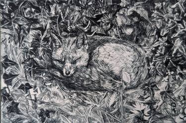 Original Fine Art Animal Printmaking by Kate Bradley