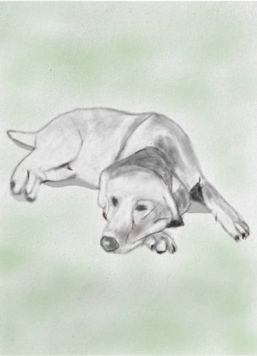 Original Abstract Animal Printmaking by Nikhil Jha
