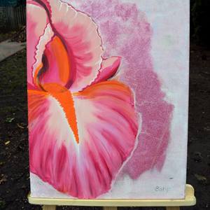 Oil painting "Pink Iris"