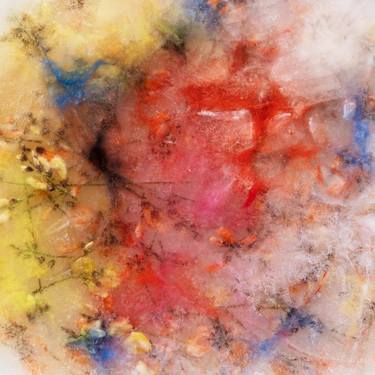 Original Abstract Floral Photography by Kate Hrynko