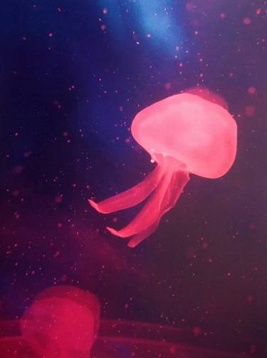 Jelly Dancer thumb