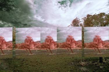 Original Conceptual Landscape Photography by Anke Doerschlen