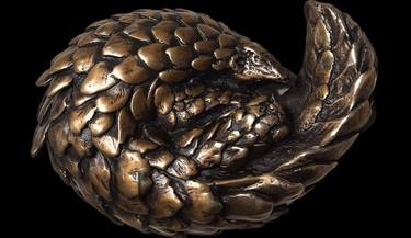 Pangolin thumb